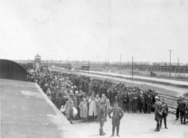 Jews, men and women in separate rows, waiting in line for SS officers upon arrival at Auschwitz-Birkenau. May 1944.